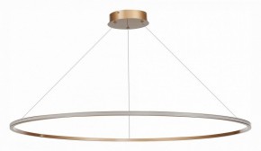 Подвесной светильник ST-Luce ST604 OUT ST604.243.57 в Ноябрьске - noyabrsk.mebel24.online | фото 2