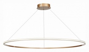 Подвесной светильник ST-Luce ST604 OUT ST604.243.57 в Ноябрьске - noyabrsk.mebel24.online | фото 3