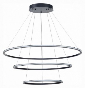 Подвесной светильник ST-Luce ST604 OUT ST604.443.114 в Ноябрьске - noyabrsk.mebel24.online | фото 2