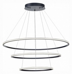 Подвесной светильник ST-Luce ST604 OUT ST604.443.114 в Ноябрьске - noyabrsk.mebel24.online | фото 3