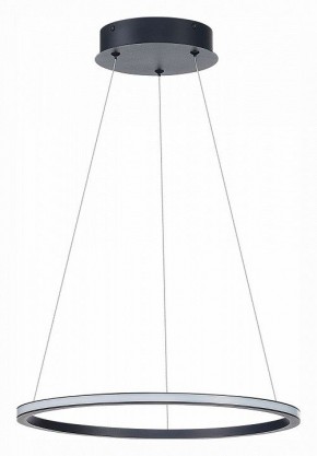 Подвесной светильник ST-Luce ST604 OUT ST604.443.22 в Ноябрьске - noyabrsk.mebel24.online | фото 2