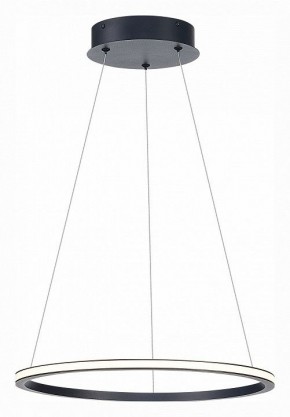 Подвесной светильник ST-Luce ST604 OUT ST604.443.22 в Ноябрьске - noyabrsk.mebel24.online | фото 3