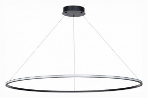 Подвесной светильник ST-Luce ST604 OUT ST604.443.46 в Ноябрьске - noyabrsk.mebel24.online | фото 2