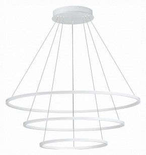 Подвесной светильник ST-Luce ST604 OUT ST604.543.114 в Ноябрьске - noyabrsk.mebel24.online | фото 2
