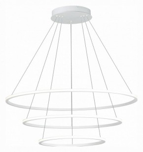 Подвесной светильник ST-Luce ST604 OUT ST604.543.114 в Ноябрьске - noyabrsk.mebel24.online | фото 3