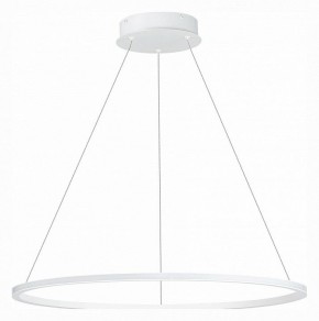 Подвесной светильник ST-Luce ST604 OUT ST604.543.34 в Ноябрьске - noyabrsk.mebel24.online | фото 2