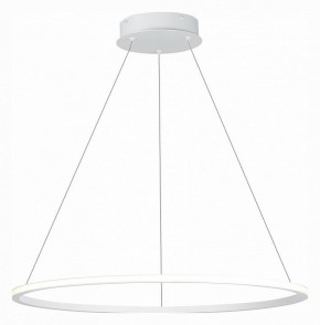 Подвесной светильник ST-Luce ST604 OUT ST604.543.34 в Ноябрьске - noyabrsk.mebel24.online | фото 3