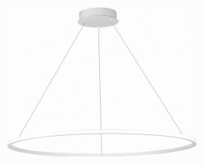 Подвесной светильник ST-Luce ST604 OUT ST604.543.57 в Ноябрьске - noyabrsk.mebel24.online | фото 3