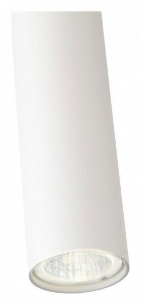 Подвесной светильник ST-Luce Tuore SL1592.503.01 в Ноябрьске - noyabrsk.mebel24.online | фото 11