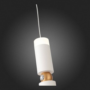 Подвесной светильник ST-Luce Tuore SL1592.503.01 в Ноябрьске - noyabrsk.mebel24.online | фото 5