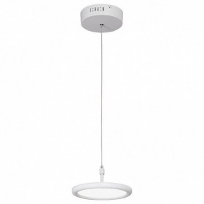 Подвесной светильник Vitaluce V4604 V4604-0/1S в Ноябрьске - noyabrsk.mebel24.online | фото 2