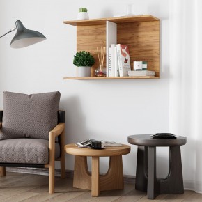 Полка Ион-3 (крафт/белый) в Ноябрьске - noyabrsk.mebel24.online | фото 3