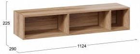 Полка навесная ТД-102.28 в Ноябрьске - noyabrsk.mebel24.online | фото 9