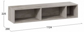 Полка навесная ТД-102.28 в Ноябрьске - noyabrsk.mebel24.online | фото 8
