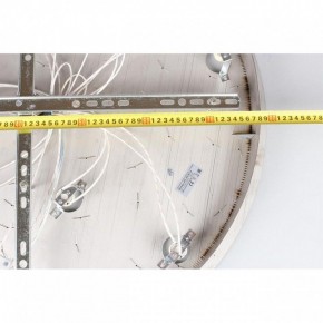 Потолочная люстра Aployt Teresa APL.855.06.10 в Ноябрьске - noyabrsk.mebel24.online | фото 16