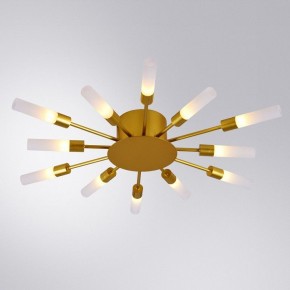 Потолочная люстра Arte Lamp Maple A1276PL-12GO в Ноябрьске - noyabrsk.mebel24.online | фото 1