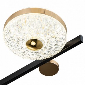 Потолочная люстра Escada Liberta 10219/6LED в Ноябрьске - noyabrsk.mebel24.online | фото 6