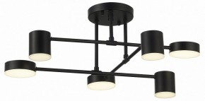 Потолочная люстра EVOLUCE Nobel SLE201042-06 в Ноябрьске - noyabrsk.mebel24.online | фото 10