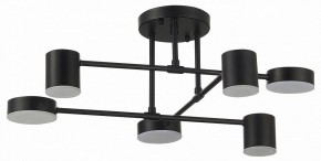 Потолочная люстра EVOLUCE Nobel SLE201042-06 в Ноябрьске - noyabrsk.mebel24.online | фото 11