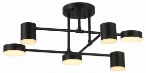 Потолочная люстра EVOLUCE Nobel SLE201042-06 в Ноябрьске - noyabrsk.mebel24.online | фото 12