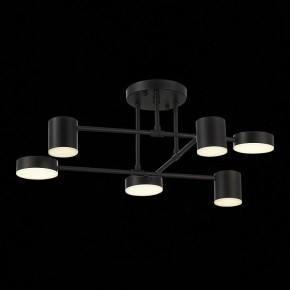 Потолочная люстра EVOLUCE Nobel SLE201042-06 в Ноябрьске - noyabrsk.mebel24.online | фото 13