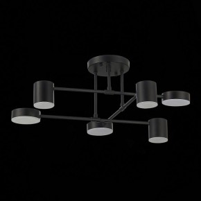 Потолочная люстра EVOLUCE Nobel SLE201042-06 в Ноябрьске - noyabrsk.mebel24.online | фото 14