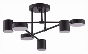 Потолочная люстра EVOLUCE Nobel SLE201042-06 в Ноябрьске - noyabrsk.mebel24.online | фото 3