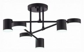 Потолочная люстра EVOLUCE Nobel SLE201042-06 в Ноябрьске - noyabrsk.mebel24.online | фото 5