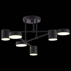 Потолочная люстра EVOLUCE Nobel SLE201042-06 в Ноябрьске - noyabrsk.mebel24.online | фото 6