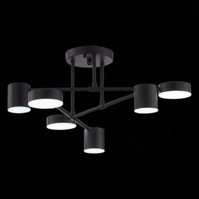 Потолочная люстра EVOLUCE Nobel SLE201042-06 в Ноябрьске - noyabrsk.mebel24.online | фото 9