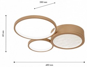 Потолочная люстра F-promo Campus 4681-3C в Ноябрьске - noyabrsk.mebel24.online | фото 7