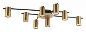 Потолочная люстра Favourite Topper 2827-8P в Ноябрьске - noyabrsk.mebel24.online | фото 2