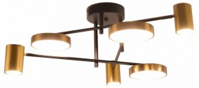 Потолочная люстра Kink Light Рапис 07645-6D,19(20) в Ноябрьске - noyabrsk.mebel24.online | фото
