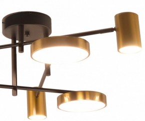 Потолочная люстра Kink Light Рапис 07645-6D,19(20) в Ноябрьске - noyabrsk.mebel24.online | фото 2