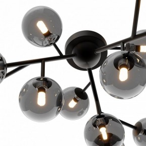Потолочная люстра Maytoni Dallas MOD545CL-12B в Ноябрьске - noyabrsk.mebel24.online | фото 3