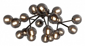 Потолочная люстра Maytoni Dallas MOD545CL-20B в Ноябрьске - noyabrsk.mebel24.online | фото 2