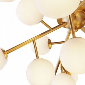 Потолочная люстра Maytoni Dallas MOD545CL-20BS в Ноябрьске - noyabrsk.mebel24.online | фото 2