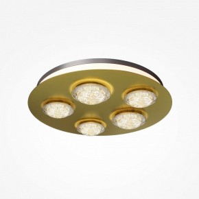 Потолочная люстра Maytoni Pharao MOD361CL-L58BS3K в Ноябрьске - noyabrsk.mebel24.online | фото