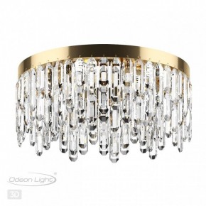 Потолочная люстра Odeon Light Dakisa 4986/6C в Ноябрьске - noyabrsk.mebel24.online | фото 4