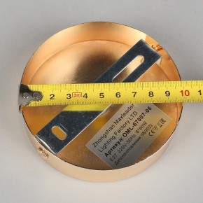Потолочная люстра Omnilux Acuto OML-67007-06 в Ноябрьске - noyabrsk.mebel24.online | фото 8