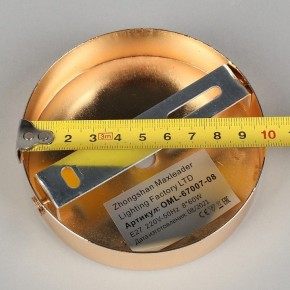 Потолочная люстра Omnilux Acuto OML-67007-08 в Ноябрьске - noyabrsk.mebel24.online | фото 8