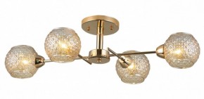 Потолочная люстра Rivoli Amalia Б0050815 в Ноябрьске - noyabrsk.mebel24.online | фото 3
