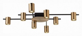 Потолочная люстра ST-Luce Veroli SL1207.402.08 в Ноябрьске - noyabrsk.mebel24.online | фото 2