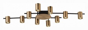Потолочная люстра ST-Luce Veroli SL1207.402.10 в Ноябрьске - noyabrsk.mebel24.online | фото 2