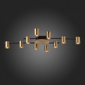 Потолочная люстра ST-Luce Veroli SL1207.402.10 в Ноябрьске - noyabrsk.mebel24.online | фото 6