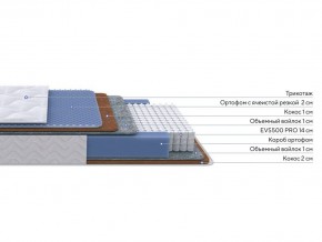 PROxSON Матрас Active Duo M/F (Ткань Трикотаж Эко) 90x190 в Ноябрьске - noyabrsk.mebel24.online | фото 2