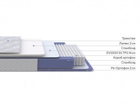 PROxSON Матрас Active Duo S/F (Ткань Трикотаж Эко) 120x190 в Ноябрьске - noyabrsk.mebel24.online | фото 2