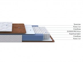 PROxSON Матрас Active F Roll (Ткань Трикотаж Эко) 80x195 в Ноябрьске - noyabrsk.mebel24.online | фото 2