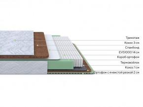PROxSON Матрас Green Duo M/F (Tricotage Dream) 200x195 в Ноябрьске - noyabrsk.mebel24.online | фото 2