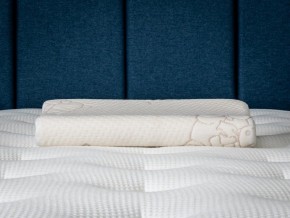 PROxSON Подушка Кроха (Ткань Трикотаж) 39x24 в Ноябрьске - noyabrsk.mebel24.online | фото 6